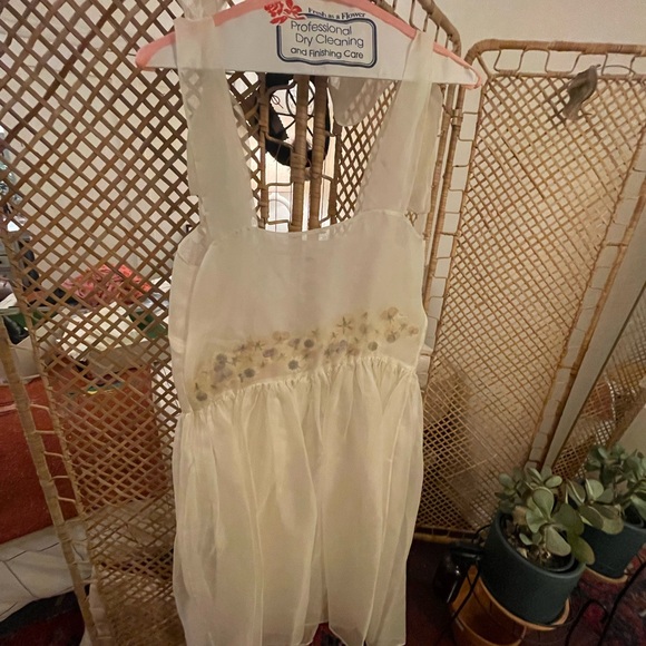 Dauphinette Miraflores Silk Organza Dress - Picture 3 of 6